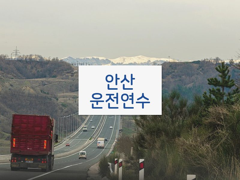 안산운전연수 후기