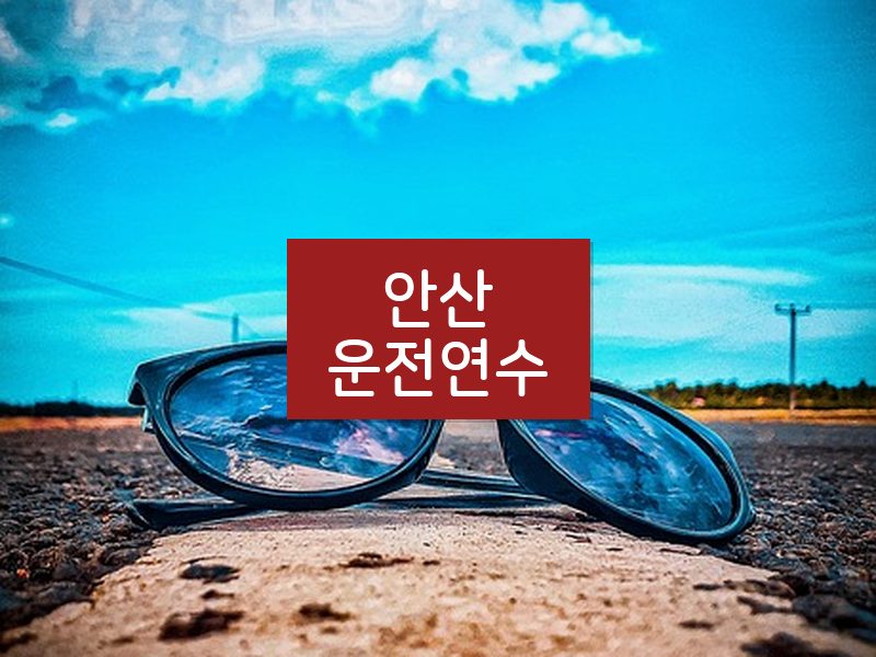 안산운전연수 후기