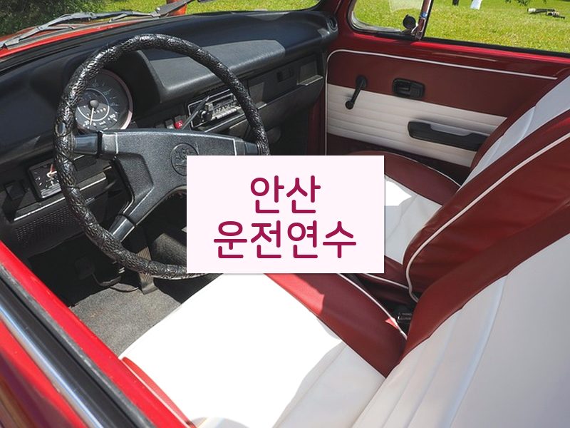 안산운전연수 후기