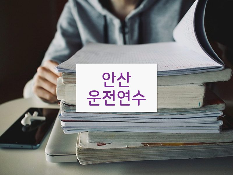 안산운전연수 후기