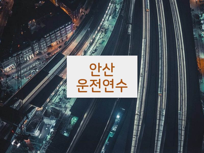 안산운전연수 후기