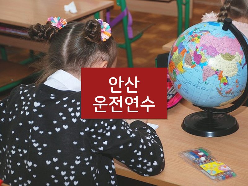 안산운전연수 후기