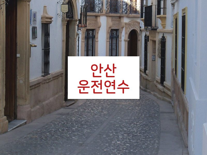 안산운전연수 후기