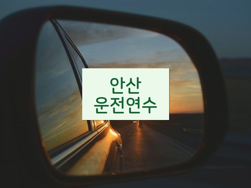안산운전연수 후기