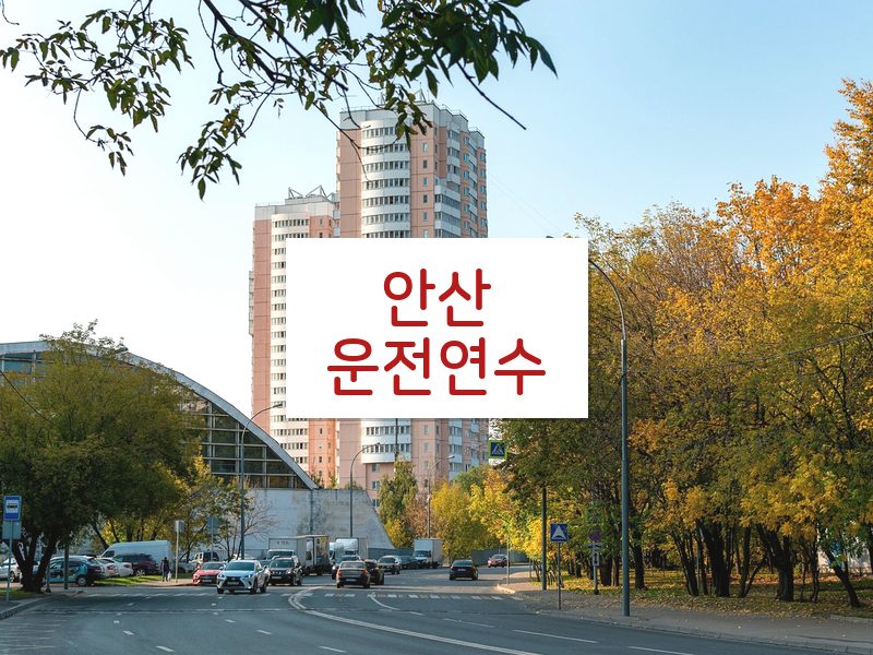 안산운전연수 후기