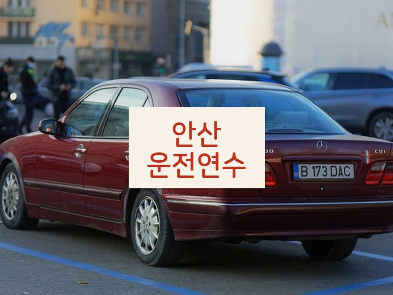 안산운전연수 후기