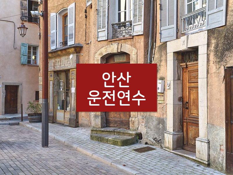 안산운전연수 후기