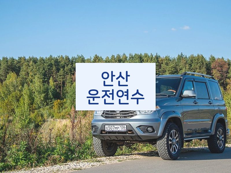 안산운전연수 후기
