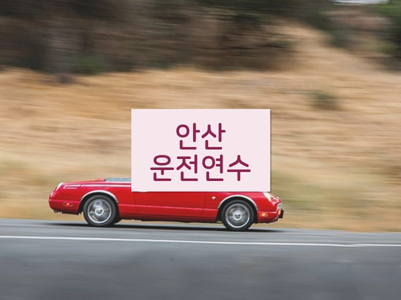 안산운전연수 후기