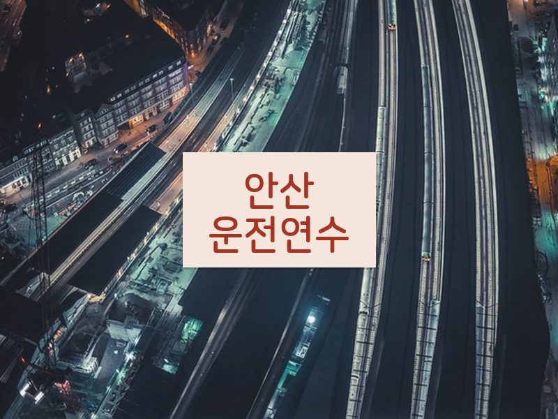 안산운전연수 후기