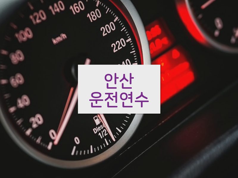 안산운전연수 후기