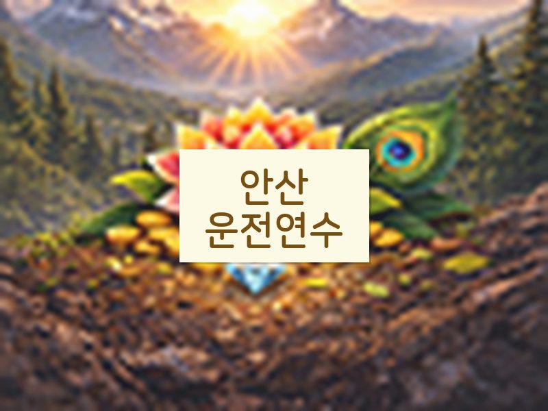 안산운전연수 후기