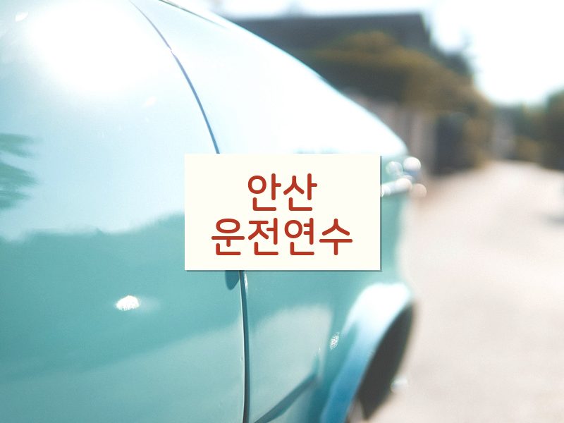 안산운전연수 후기