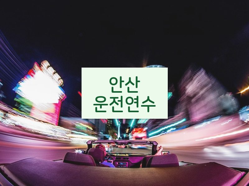 안산운전연수 후기