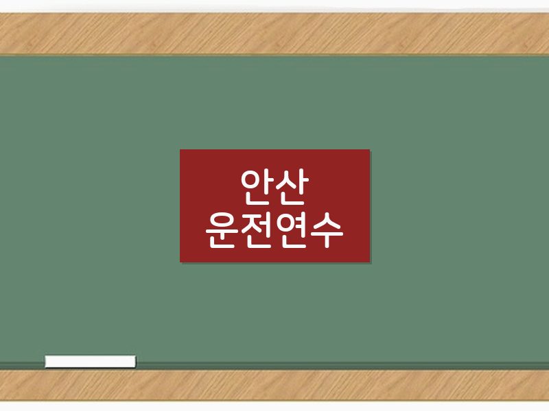 안산운전연수 후기