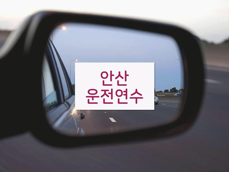 안산운전연수 후기