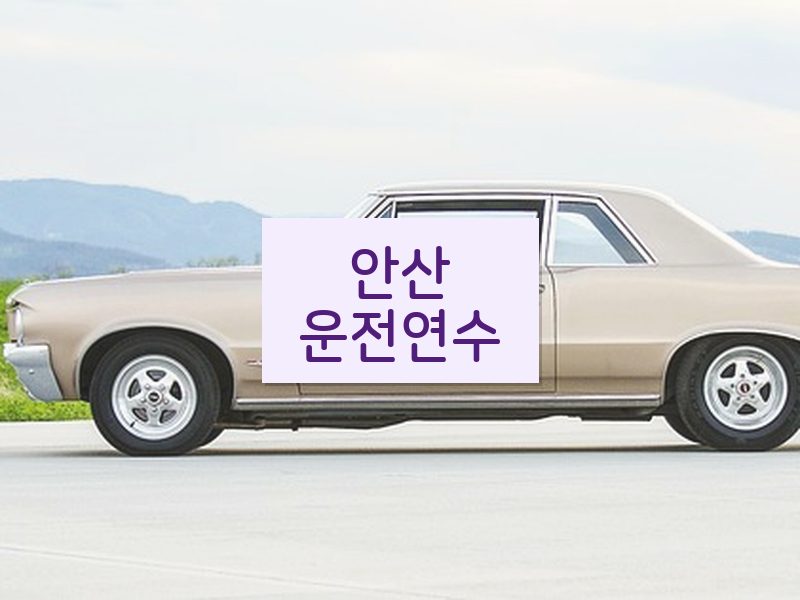 안산운전연수 후기