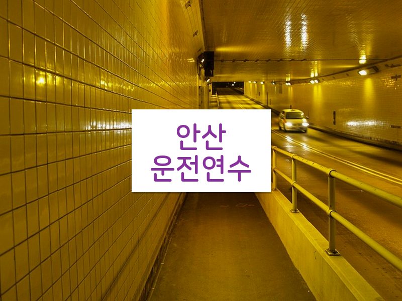 안산운전연수 후기