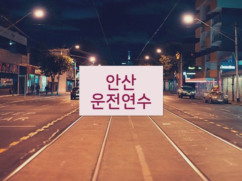 안산운전연수 후기