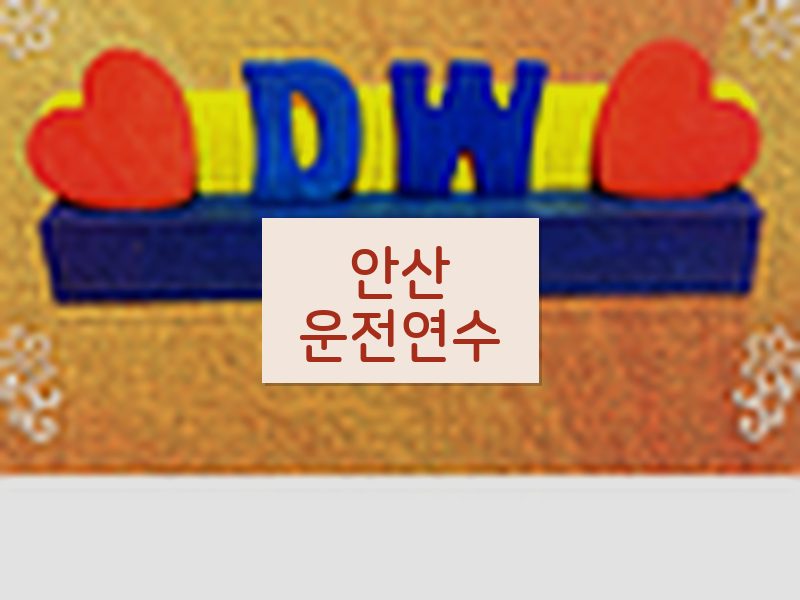 안산운전연수 후기