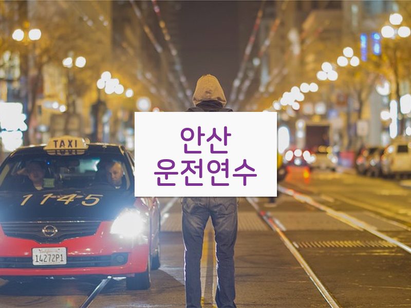 안산운전연수 후기