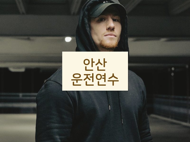 안산운전연수 후기