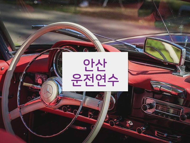안산운전연수 후기