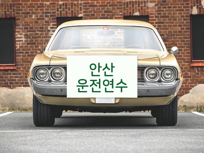안산운전연수 후기