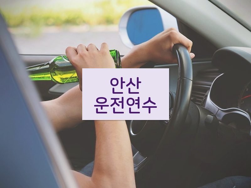 안산운전연수 후기