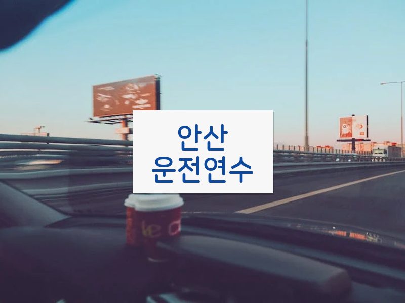 안산운전연수 후기