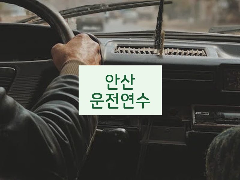 안산운전연수 후기