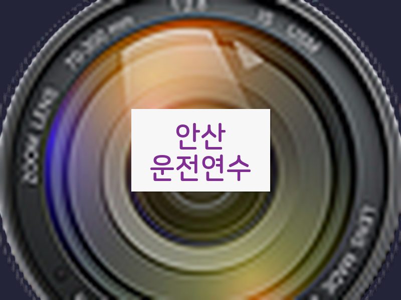 안산운전연수 후기