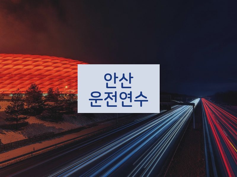 안산운전연수 후기