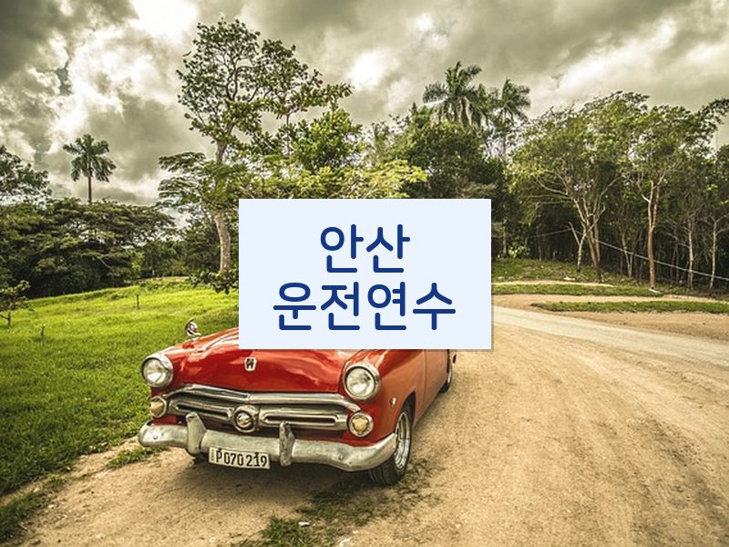 안산운전연수 후기