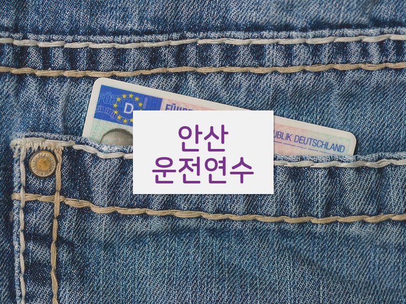 안산운전연수 후기