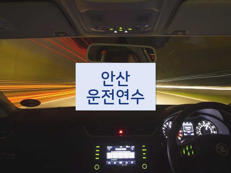 안산운전연수 후기