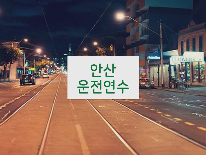 안산운전연수 후기
