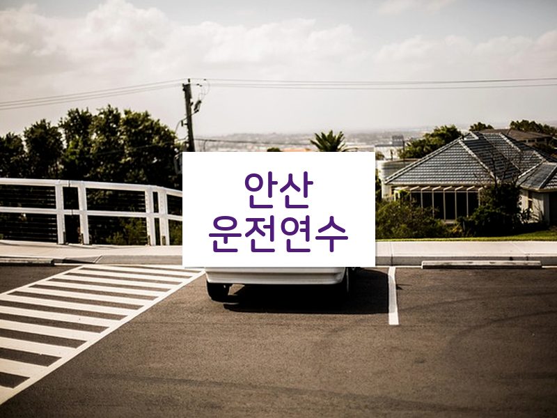 안산운전연수 후기