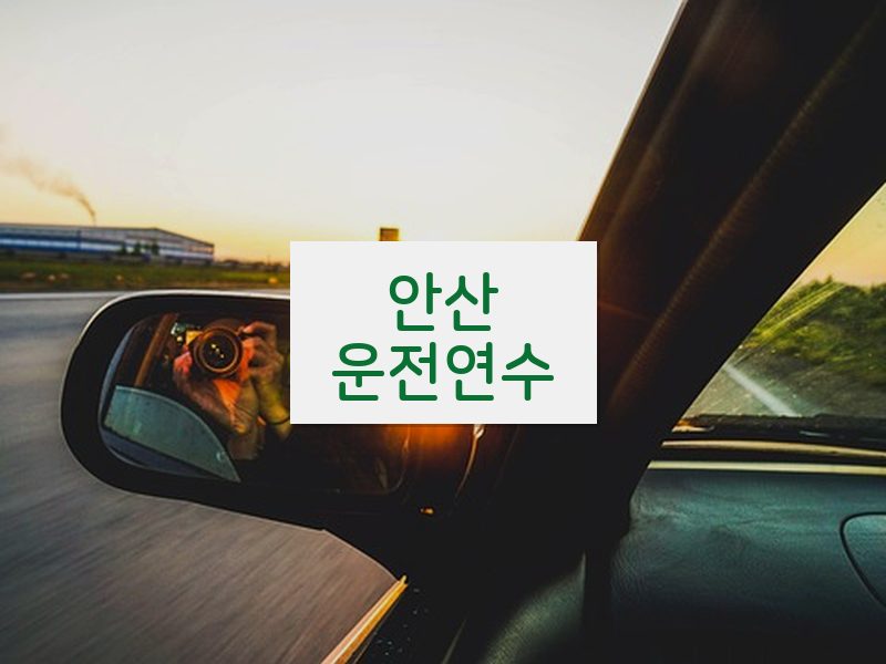 안산운전연수 후기