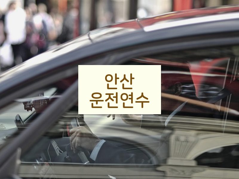 안산운전연수 후기