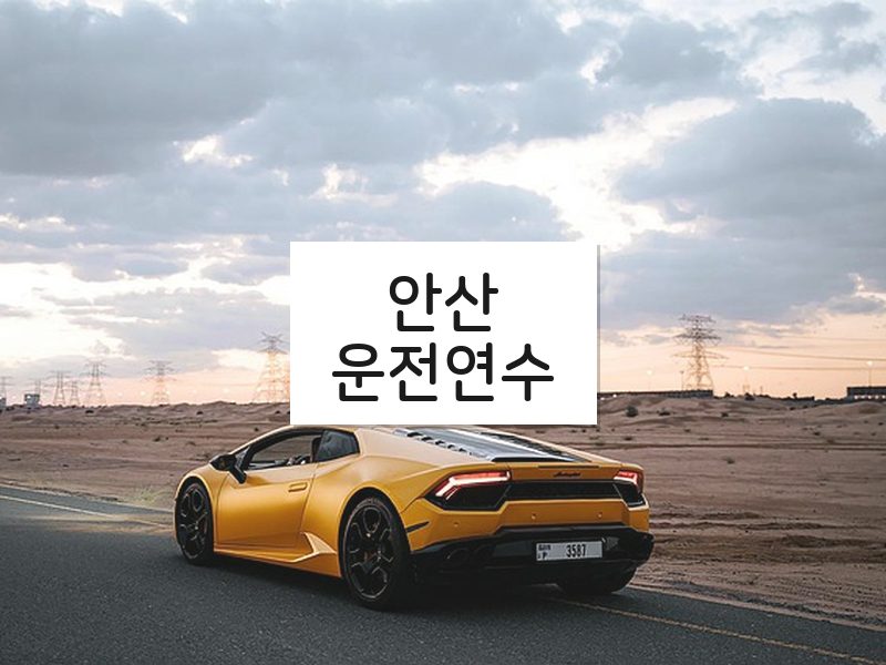 안산운전연수 후기