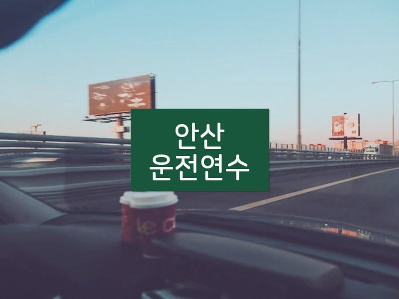 안산운전연수 후기