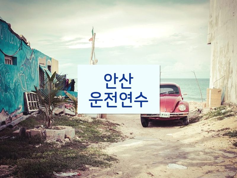 안산운전연수 후기