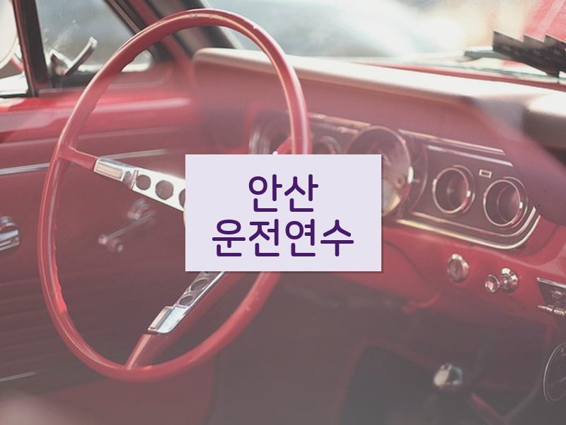 안산운전연수 후기