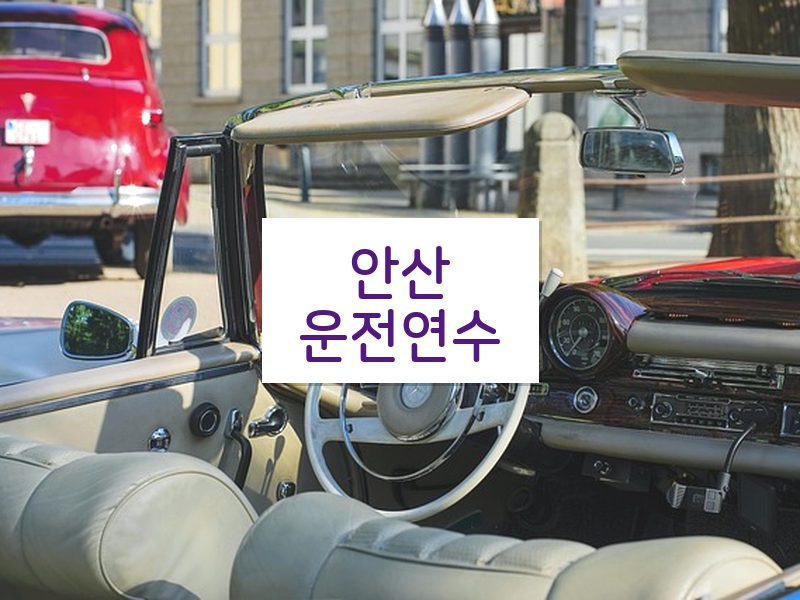 안산운전연수 후기