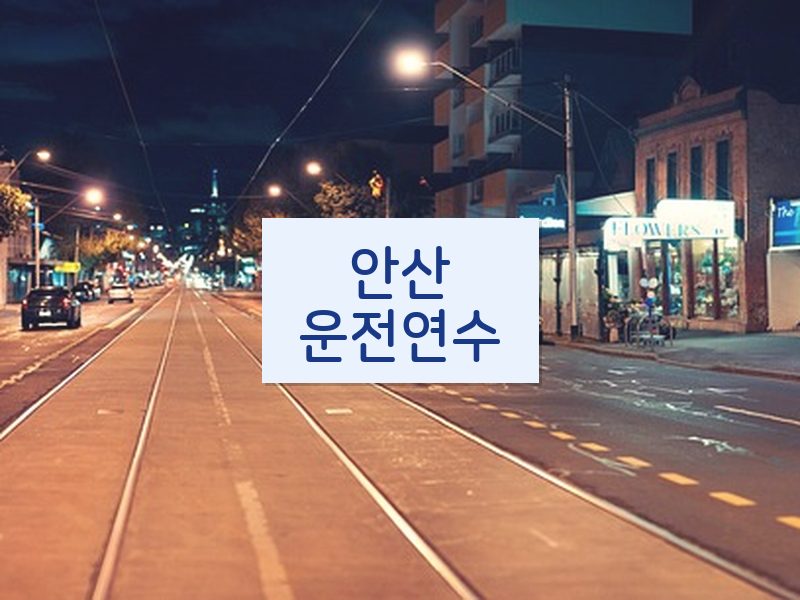 안산운전연수 후기
