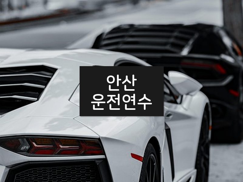 안산운전연수 후기