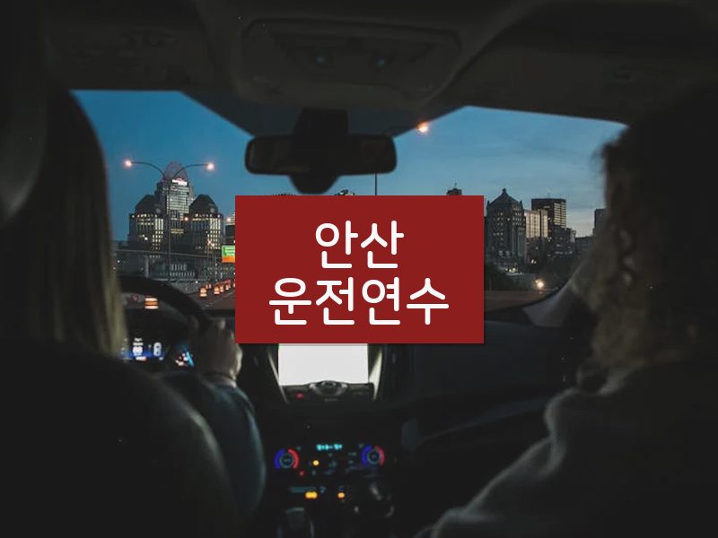 안산운전연수 후기
