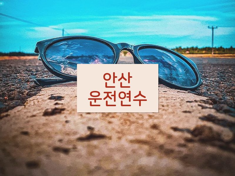 안산운전연수 후기