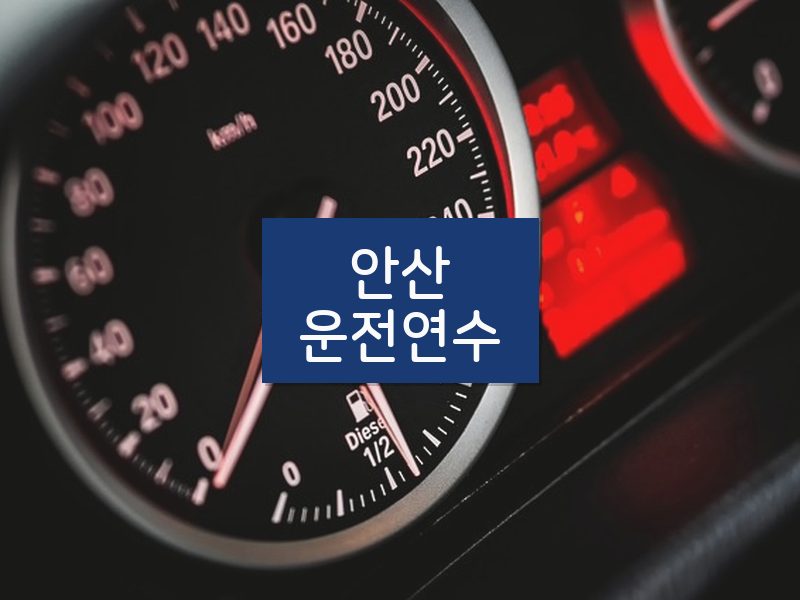 안산운전연수 후기
